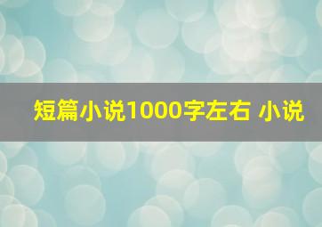 短篇小说1000字左右 小说